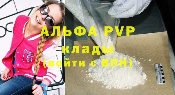 гашик Коряжма