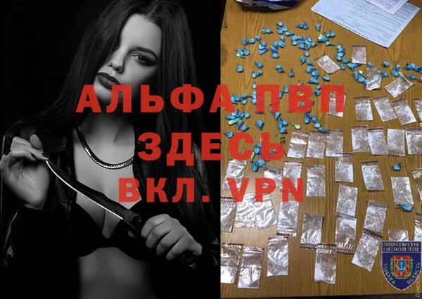 МДПВ Архангельск